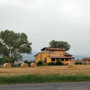 Vigna Del Poggio Apartment