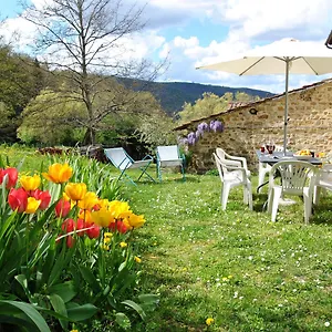 Casa Al Miglio Holiday home